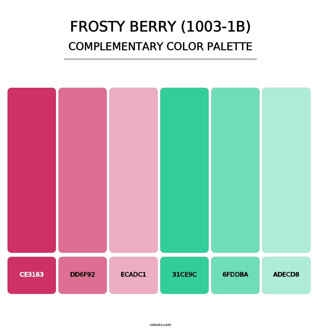 Frosty Berry (1003-1B) - Complementary Color Palette