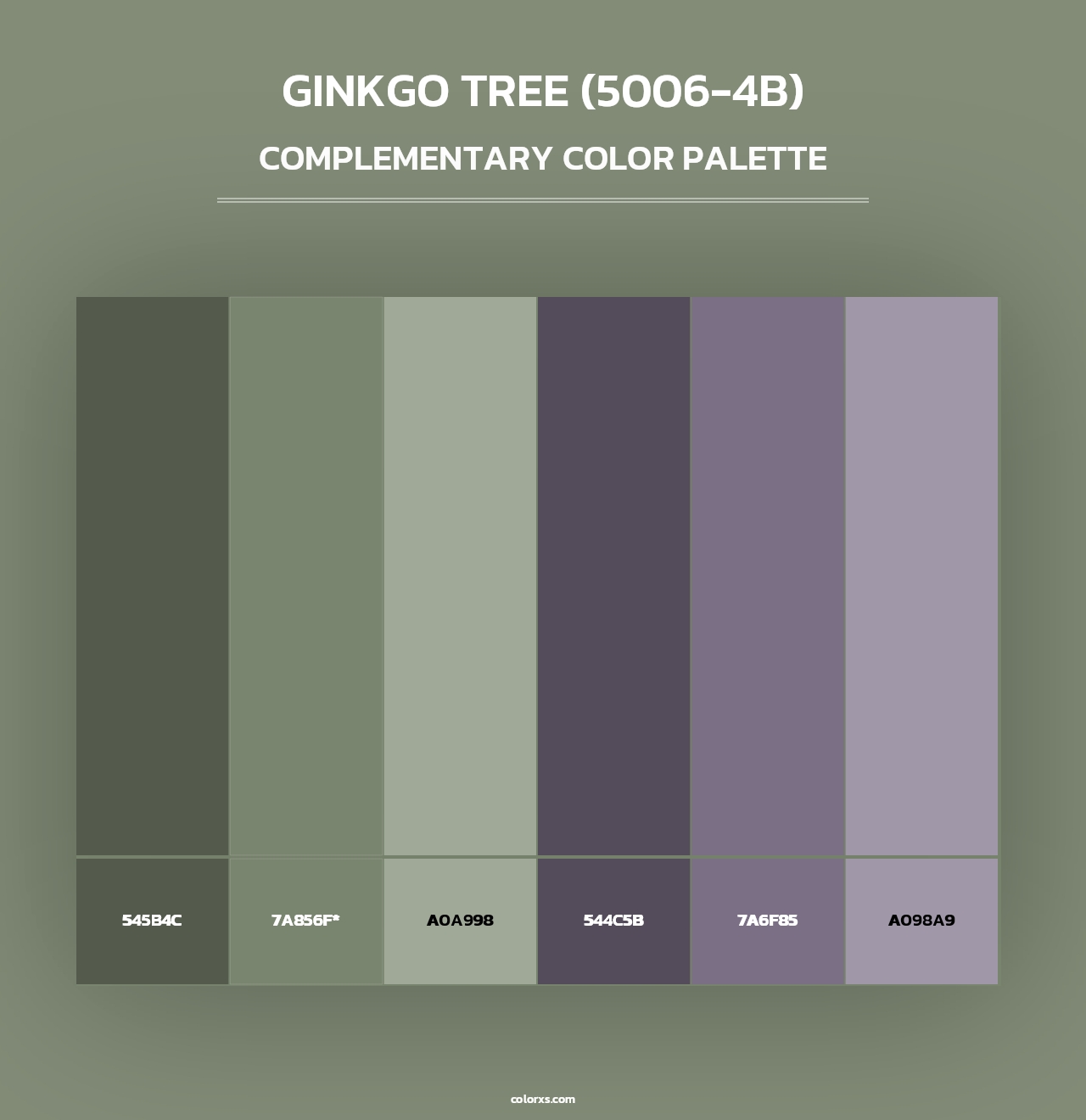 Ginkgo Tree (5006-4B) - Complementary Color Palette