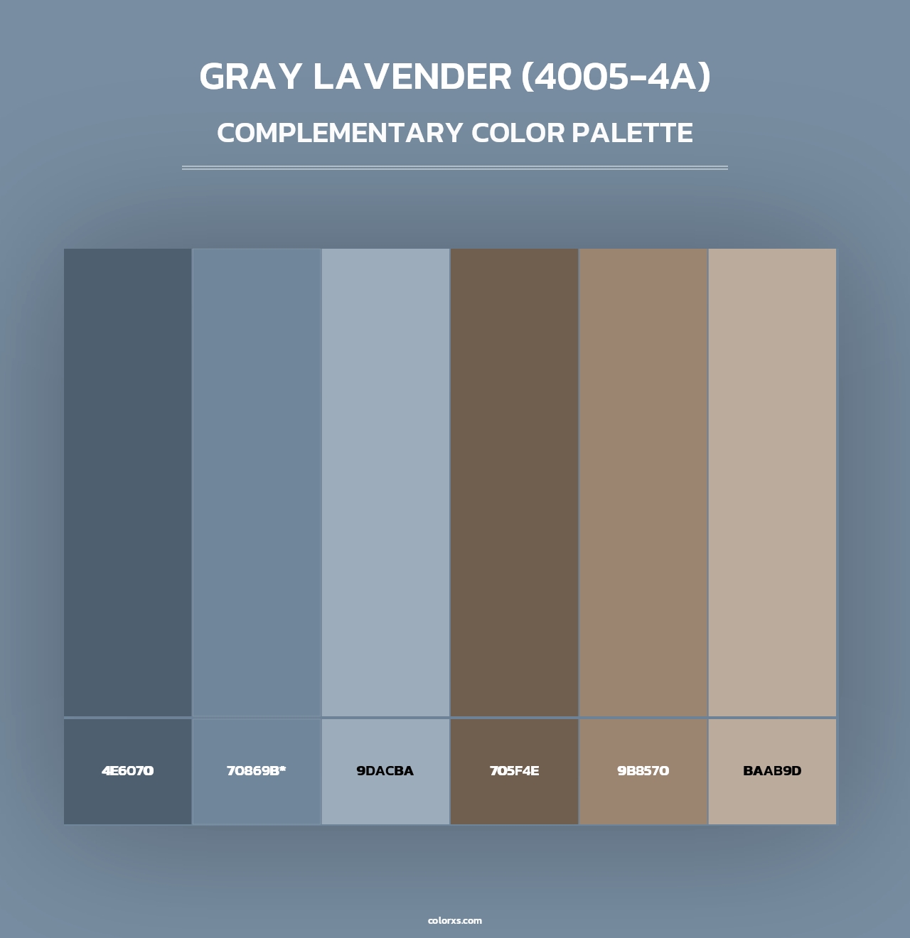 Gray Lavender (4005-4A) - Complementary Color Palette
