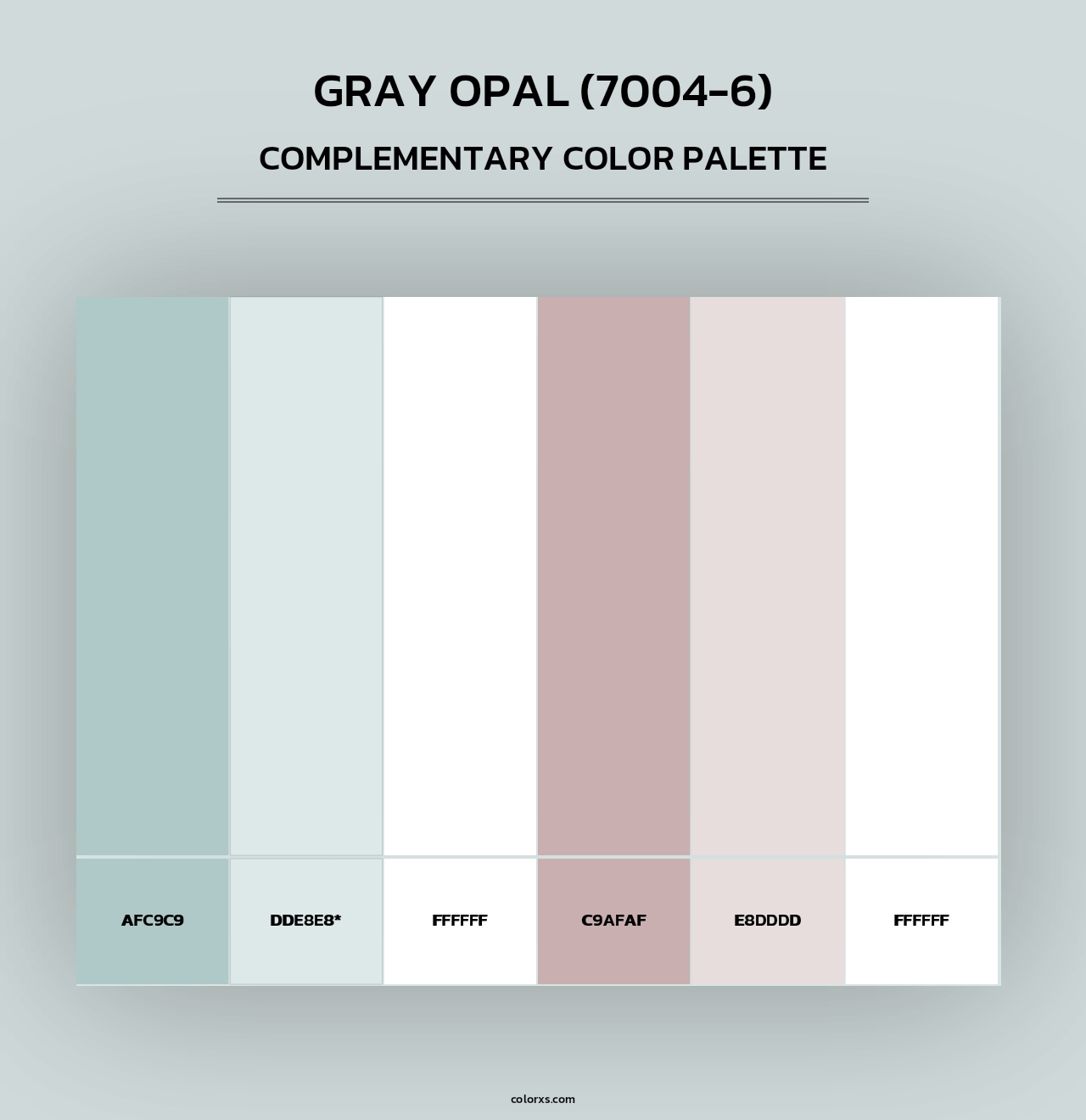 Gray Opal (7004-6) - Complementary Color Palette