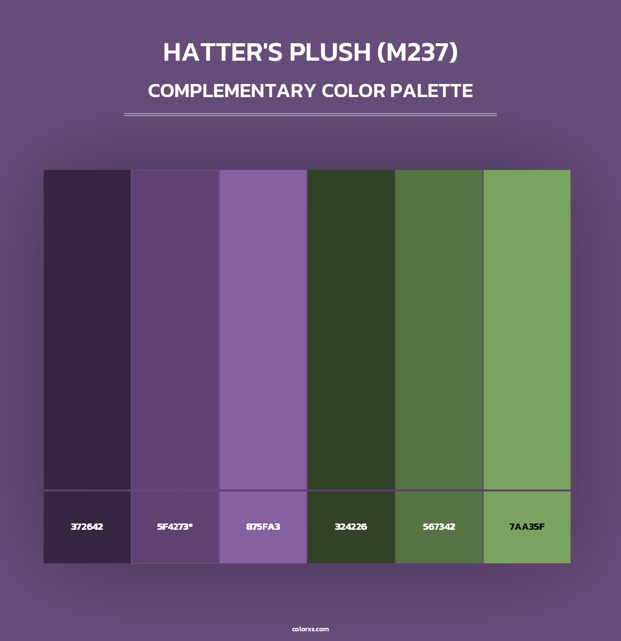 Hatter's Plush (M237) - Complementary Color Palette