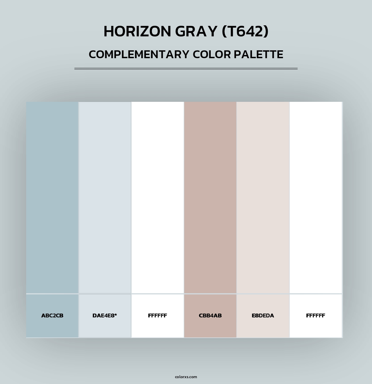 Horizon Gray (T642) - Complementary Color Palette