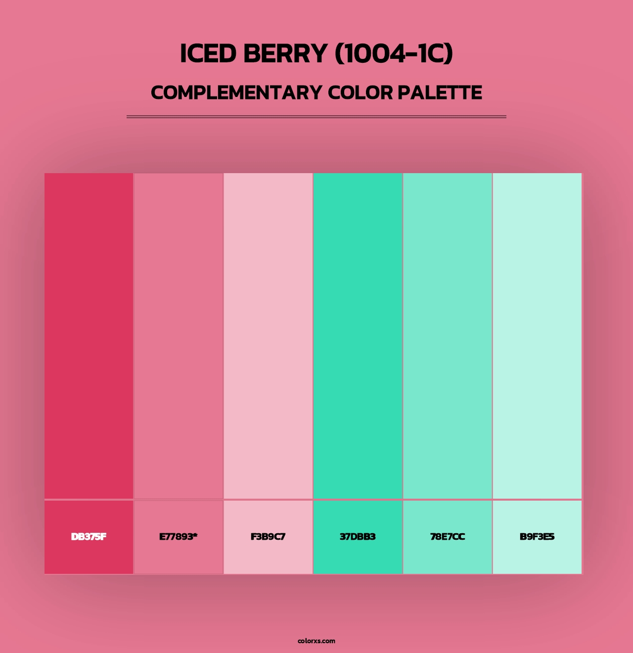 Iced Berry (1004-1C) - Complementary Color Palette