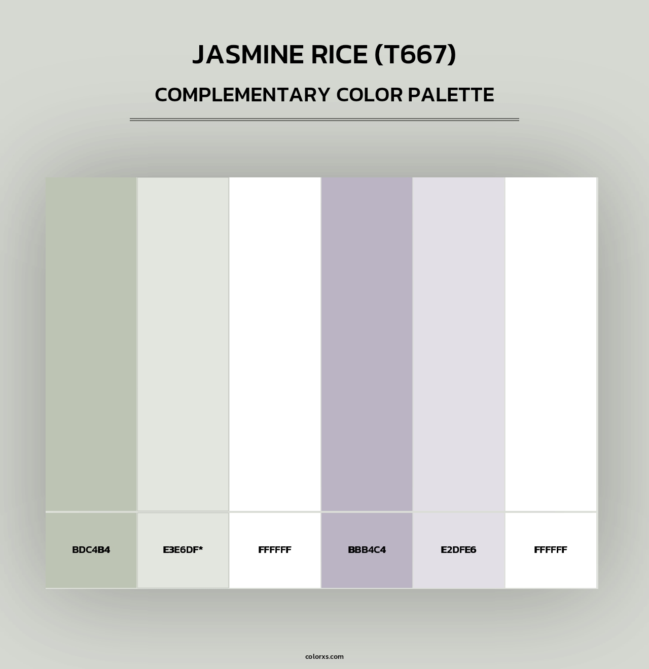 Jasmine Rice (T667) - Complementary Color Palette