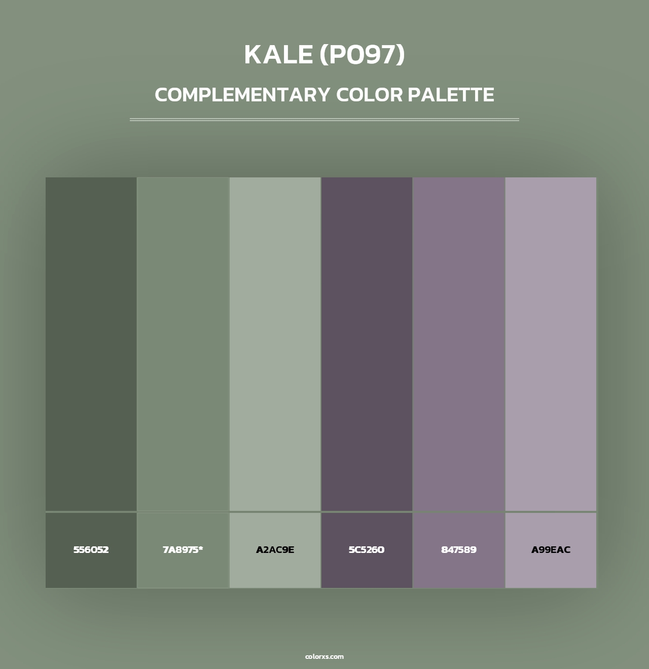 Kale (P097) - Complementary Color Palette