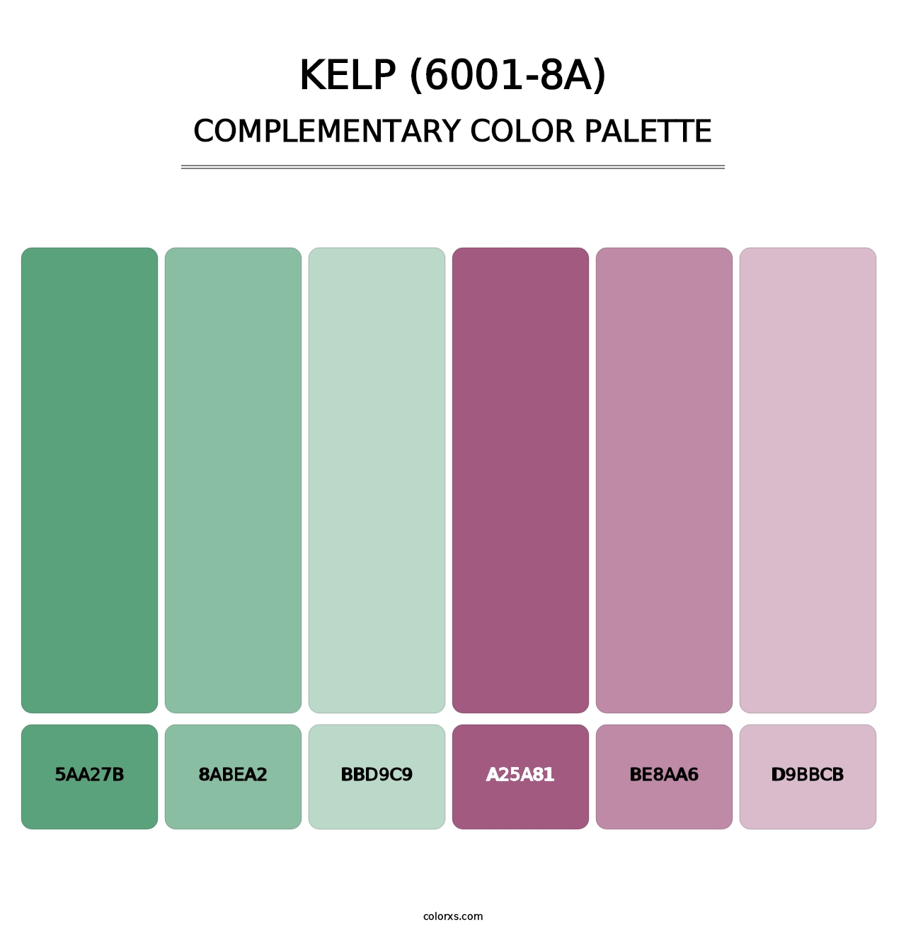 Kelp (6001-8A) - Complementary Color Palette