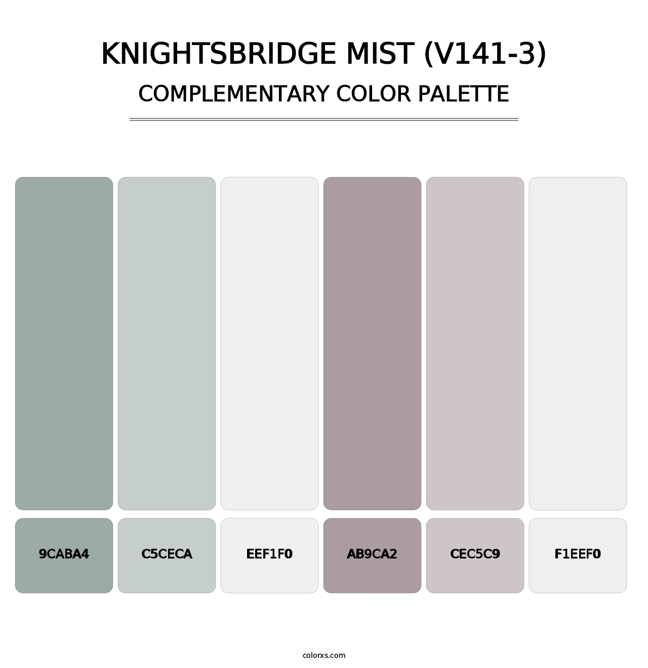 Knightsbridge Mist (V141-3) - Complementary Color Palette