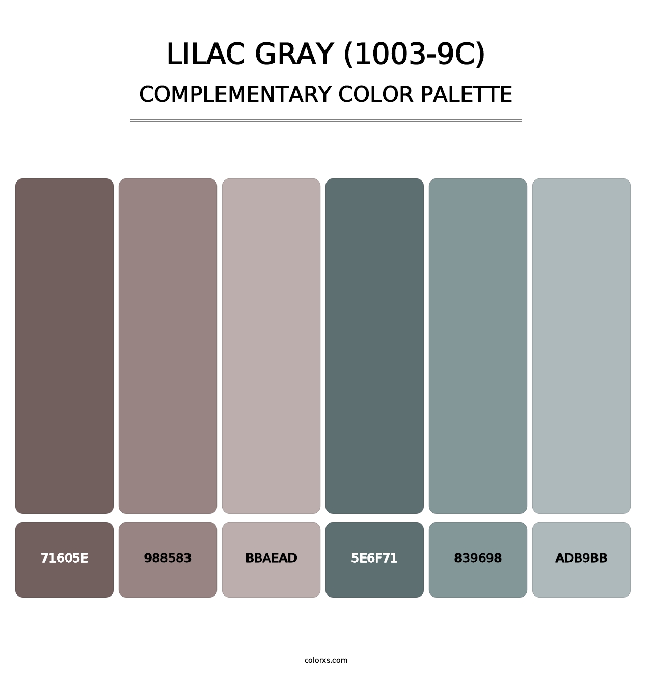 Lilac Gray (1003-9C) - Complementary Color Palette