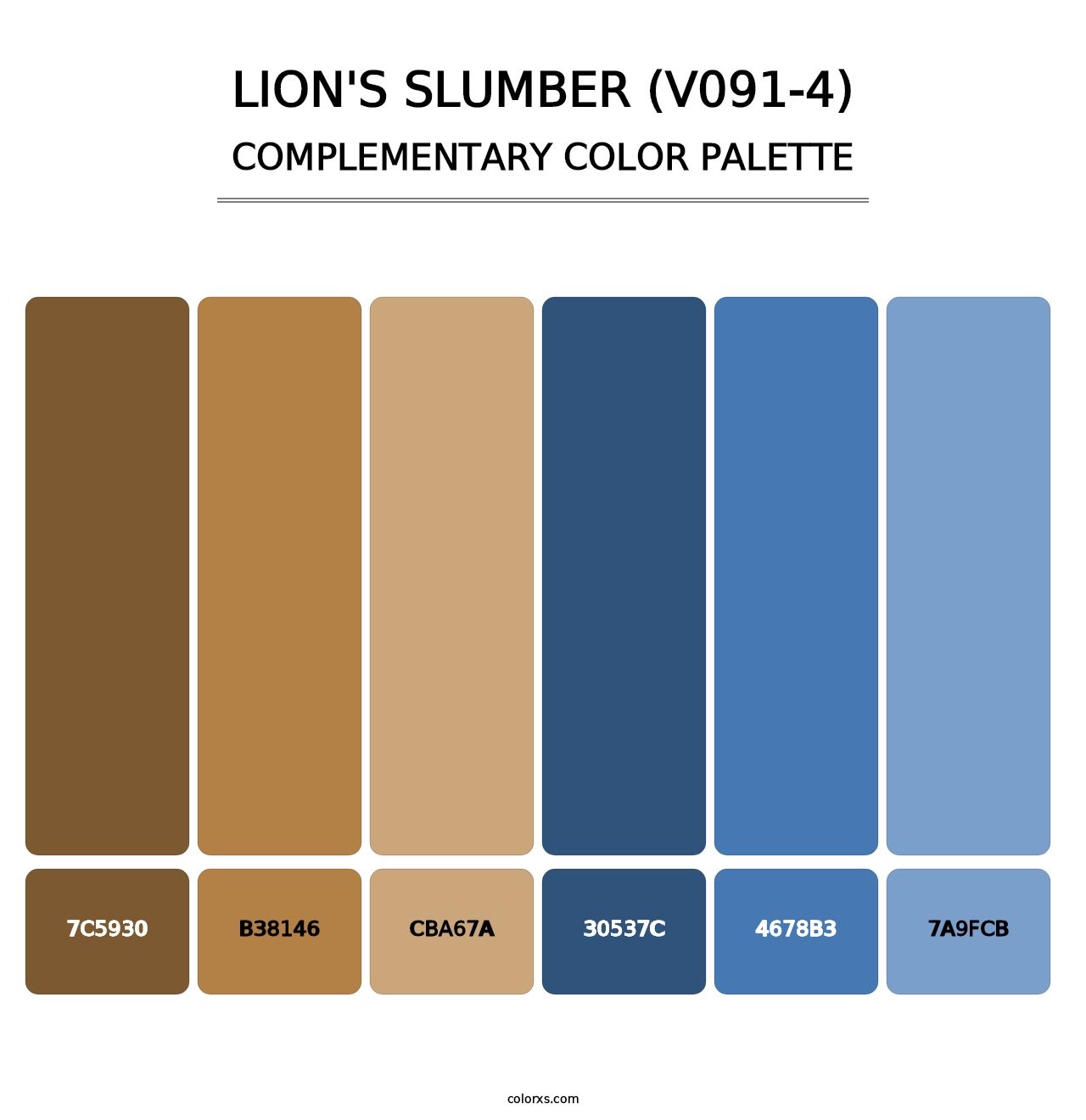 Lion's Slumber (V091-4) - Complementary Color Palette