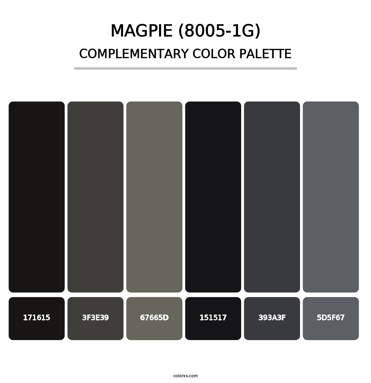 Magpie (8005-1G) - Complementary Color Palette