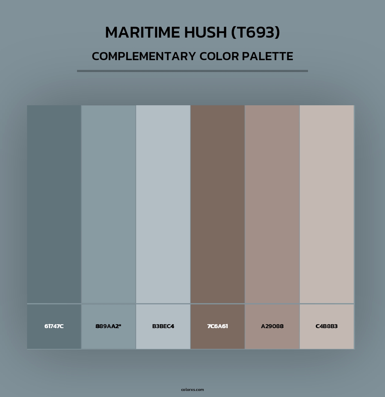 Maritime Hush (T693) - Complementary Color Palette