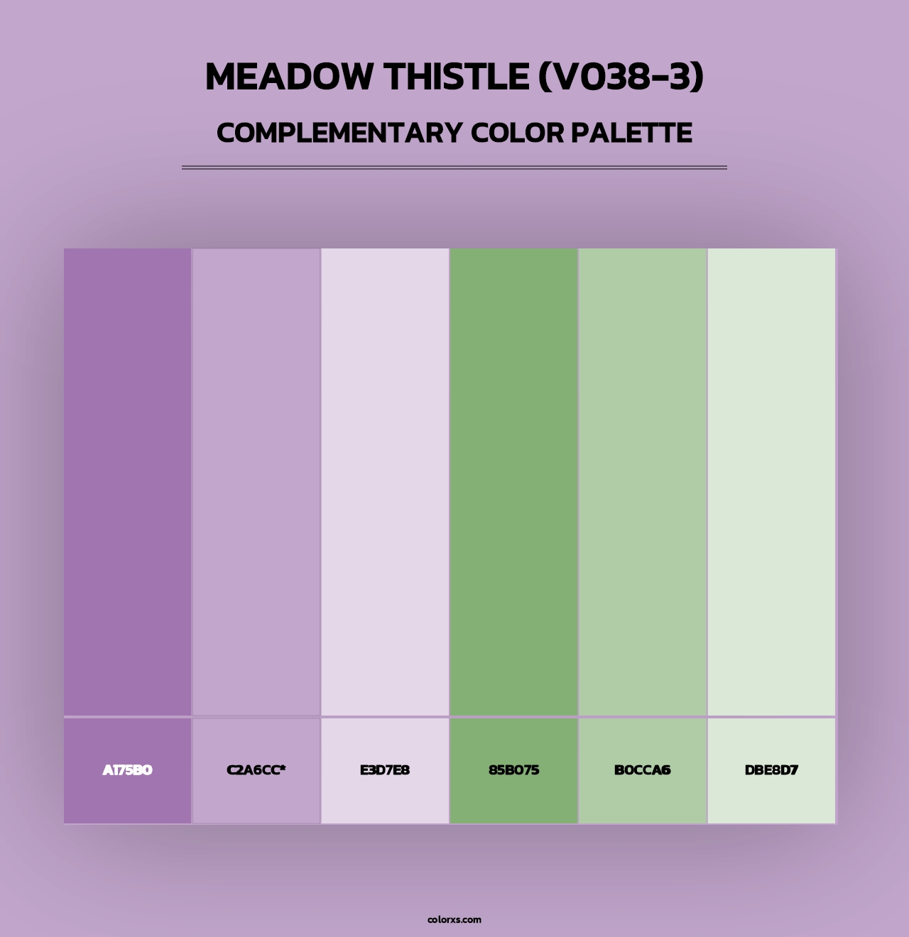 Meadow Thistle (V038-3) - Complementary Color Palette