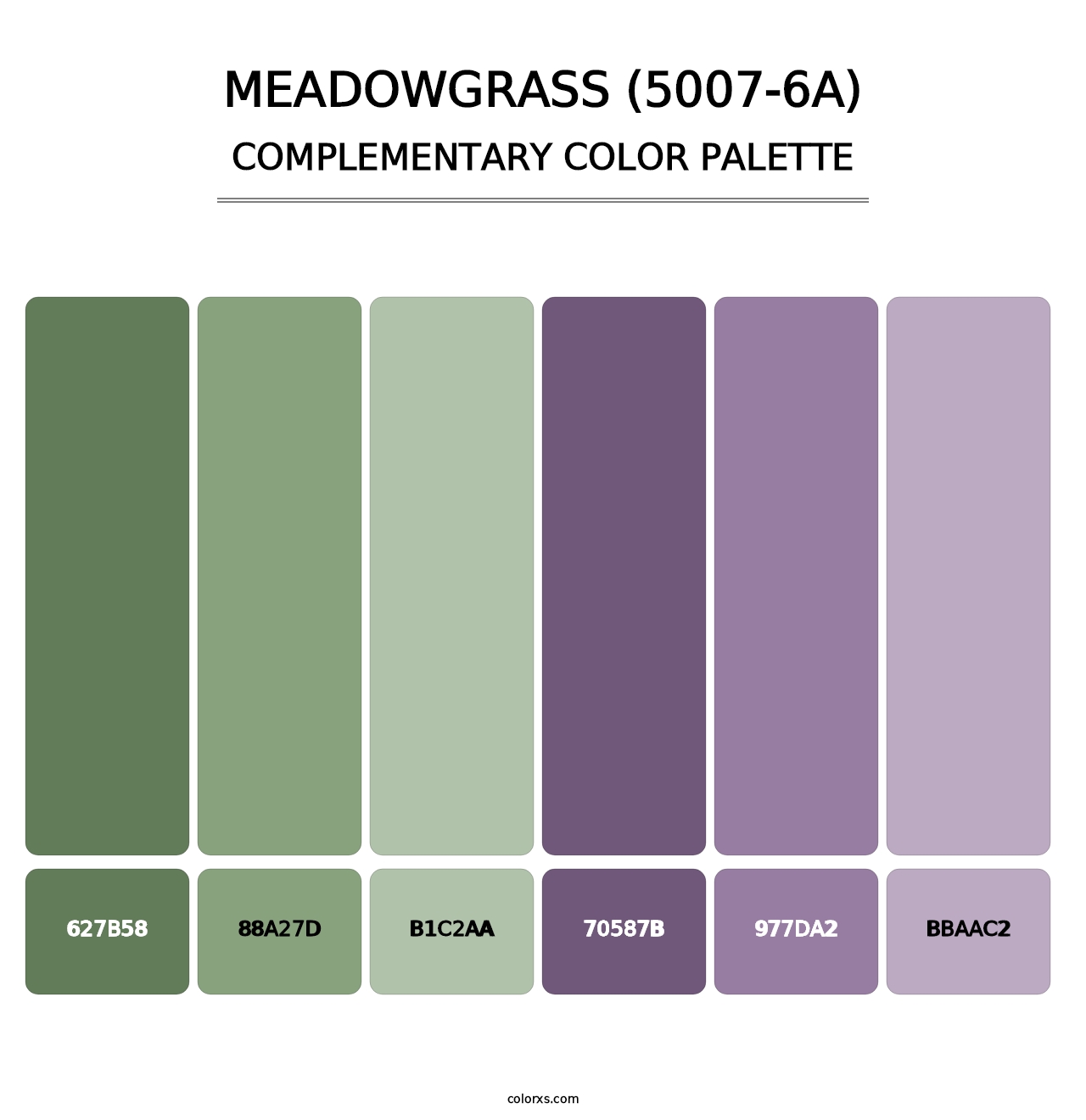 Meadowgrass (5007-6A) - Complementary Color Palette