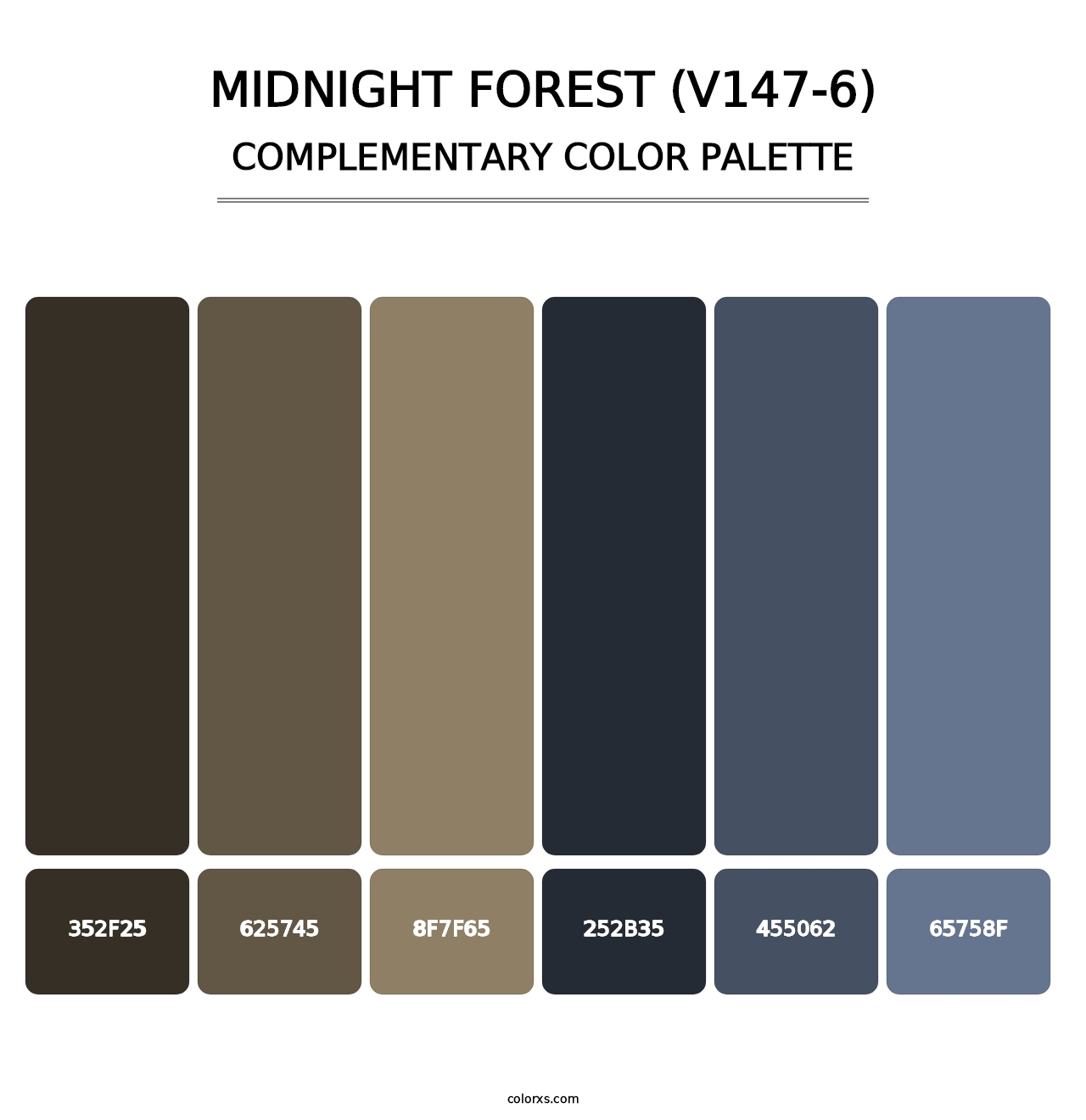 Midnight Forest (V147-6) - Complementary Color Palette
