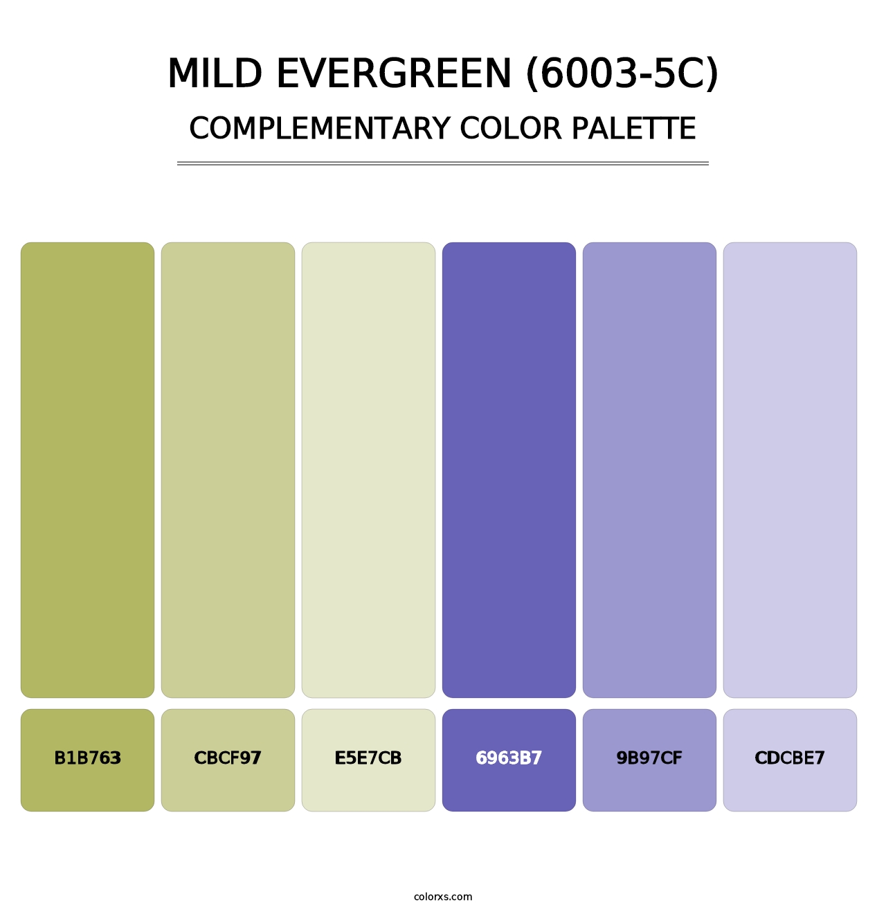 Mild Evergreen (6003-5C) - Complementary Color Palette