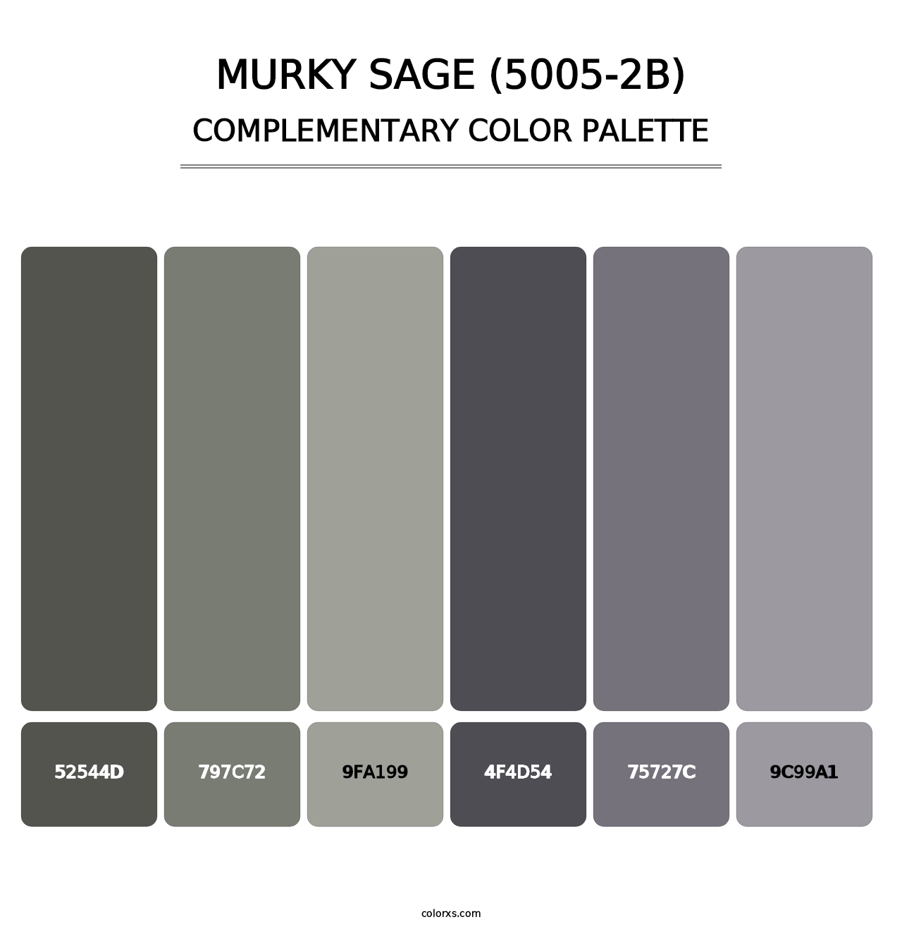 Murky Sage (5005-2B) - Complementary Color Palette