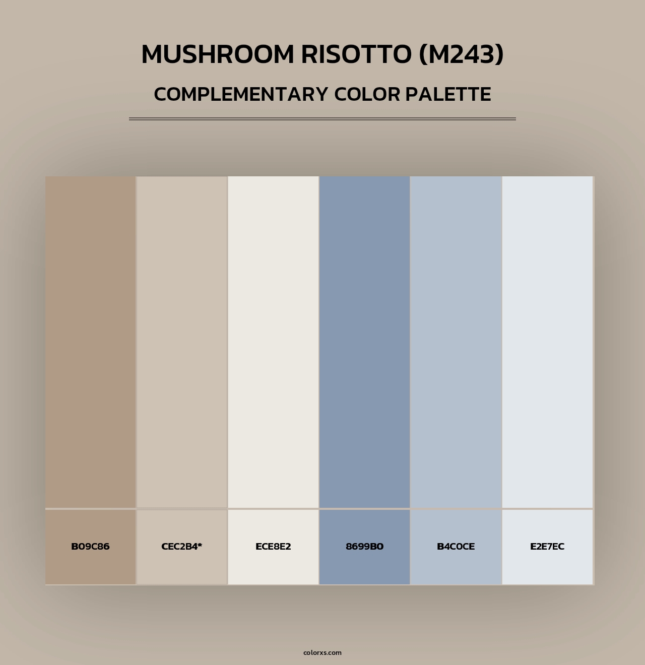 Mushroom Risotto (M243) - Complementary Color Palette