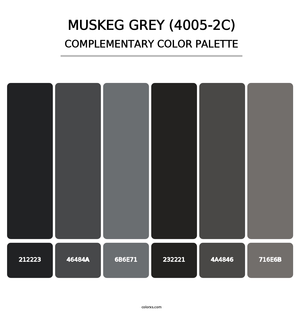 Muskeg Grey (4005-2C) - Complementary Color Palette