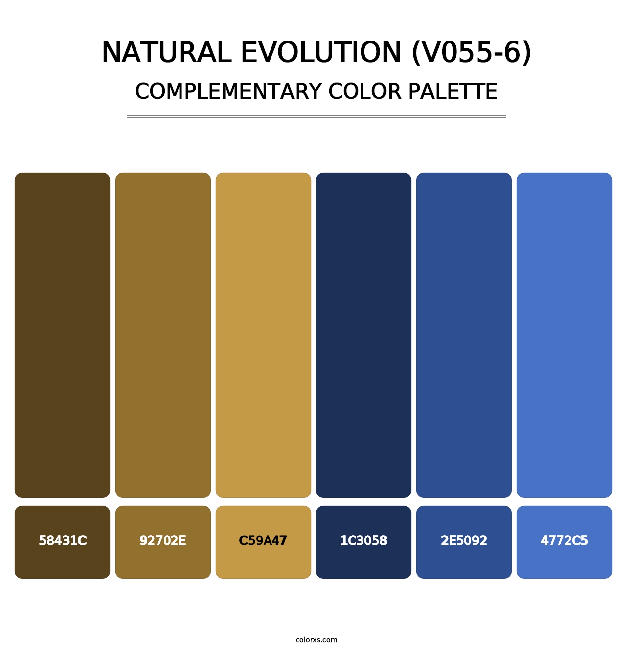 Natural Evolution (V055-6) - Complementary Color Palette