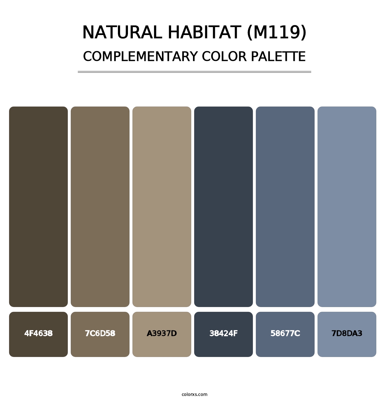 Natural Habitat (M119) - Complementary Color Palette