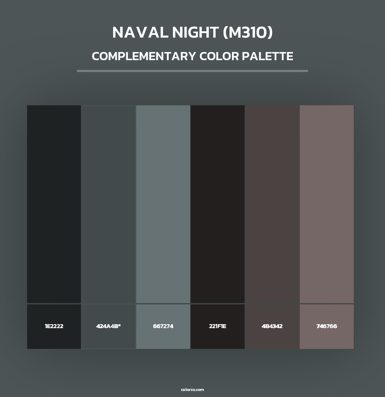 Naval Night (M310) - Complementary Color Palette