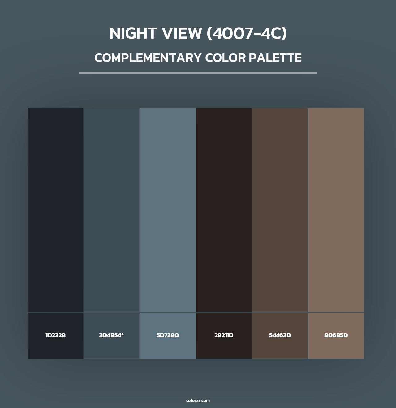 Night View (4007-4C) - Complementary Color Palette