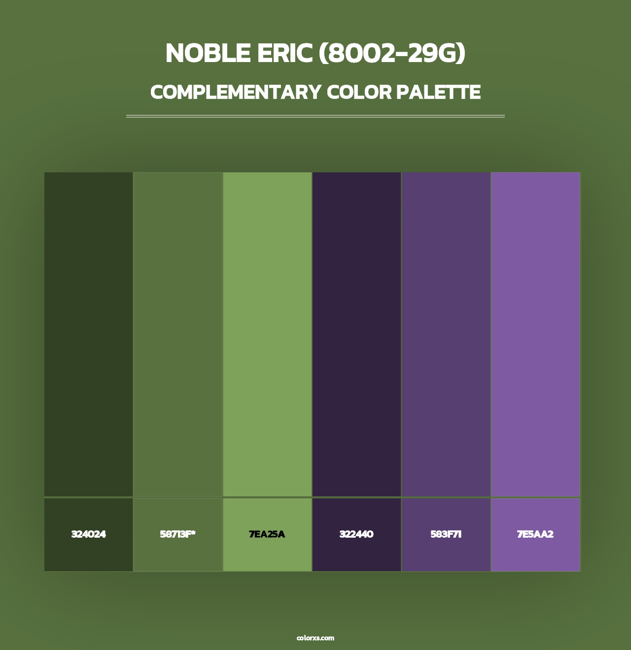 Noble Eric (8002-29G) - Complementary Color Palette