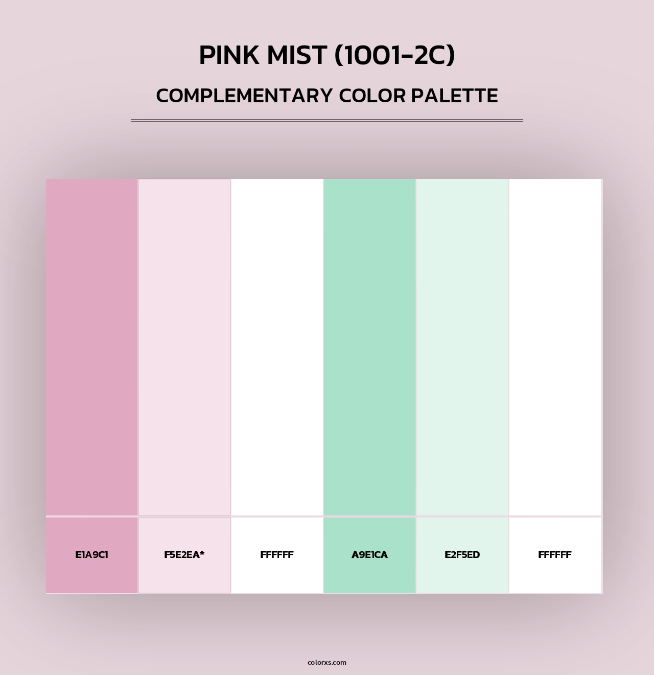 Pink Mist (1001-2C) - Complementary Color Palette
