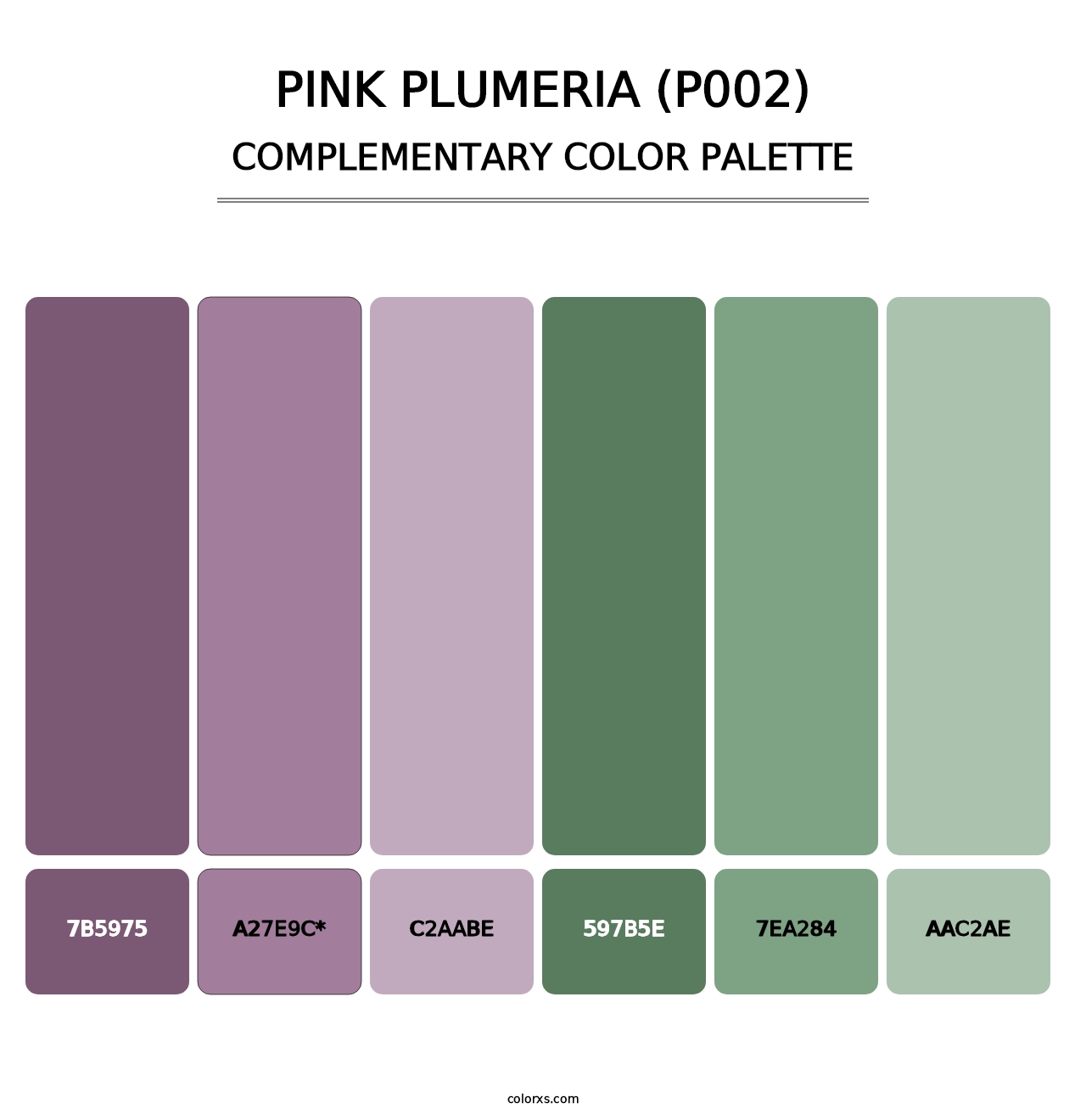 Pink Plumeria (P002) - Complementary Color Palette