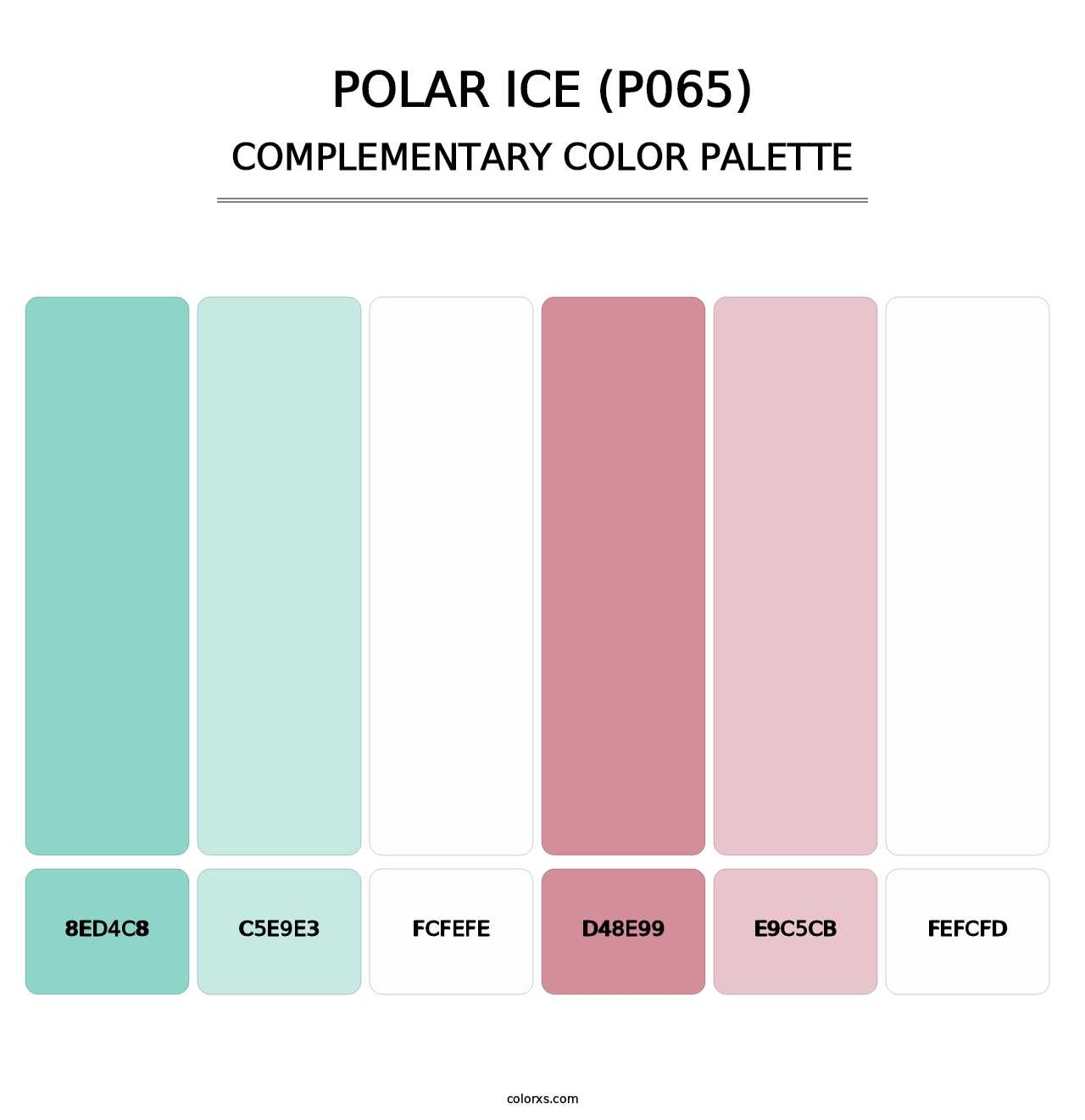 Polar Ice (P065) - Complementary Color Palette