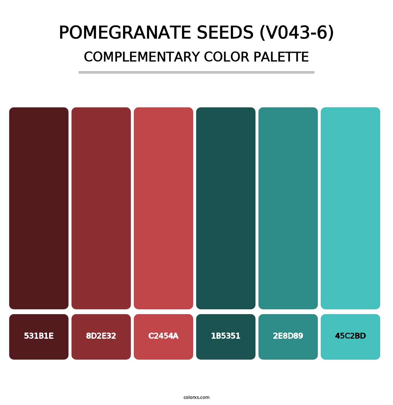 Pomegranate Seeds (V043-6) - Complementary Color Palette