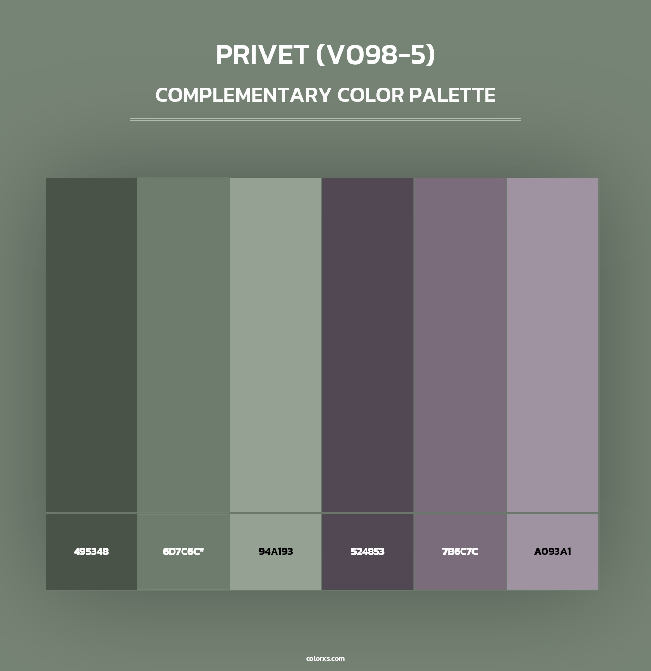 Privet (V098-5) - Complementary Color Palette