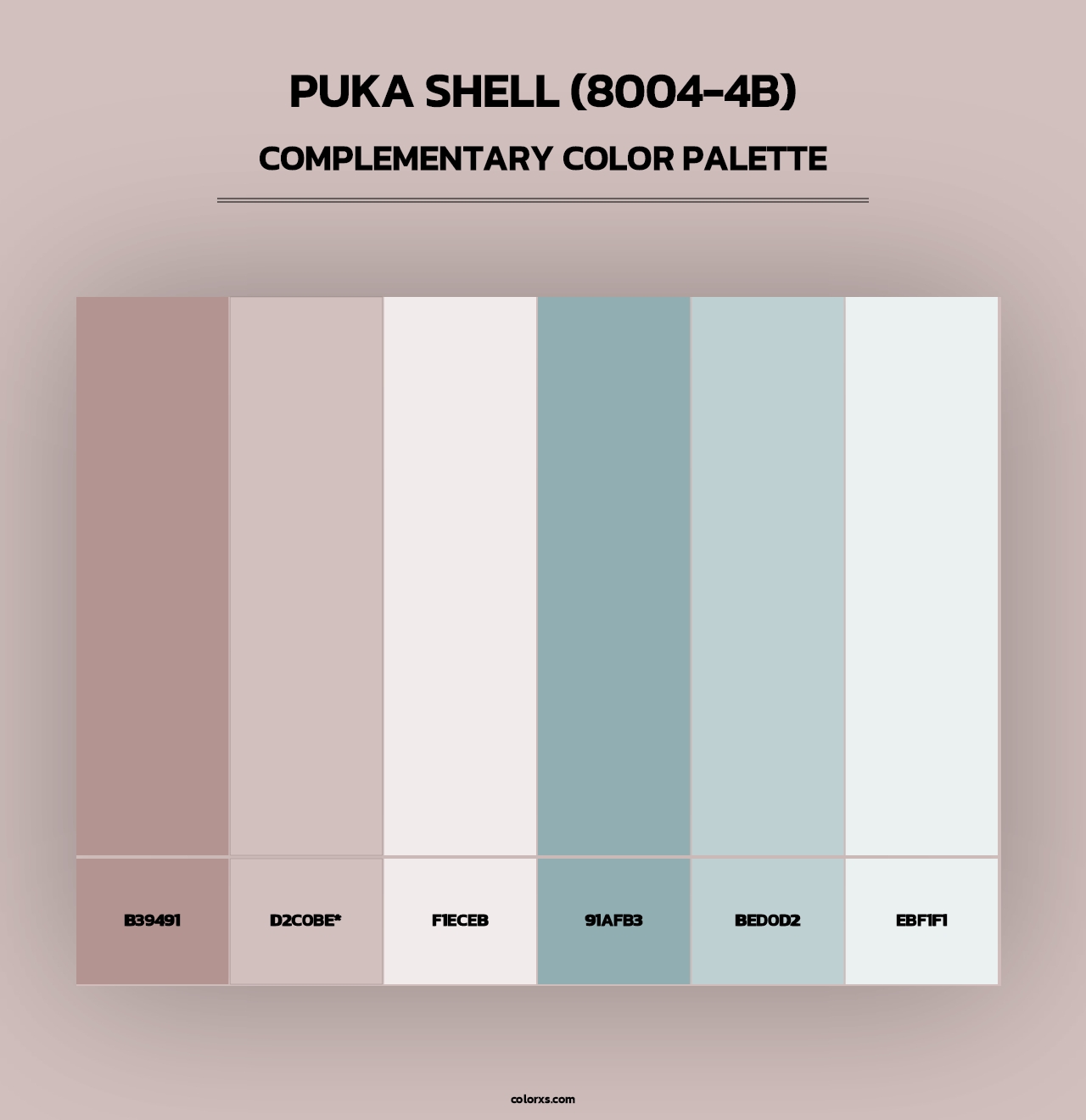 Puka Shell (8004-4B) - Complementary Color Palette
