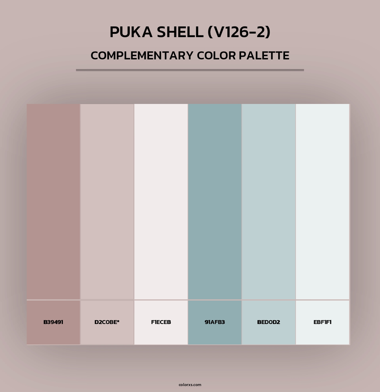 Puka Shell (V126-2) - Complementary Color Palette