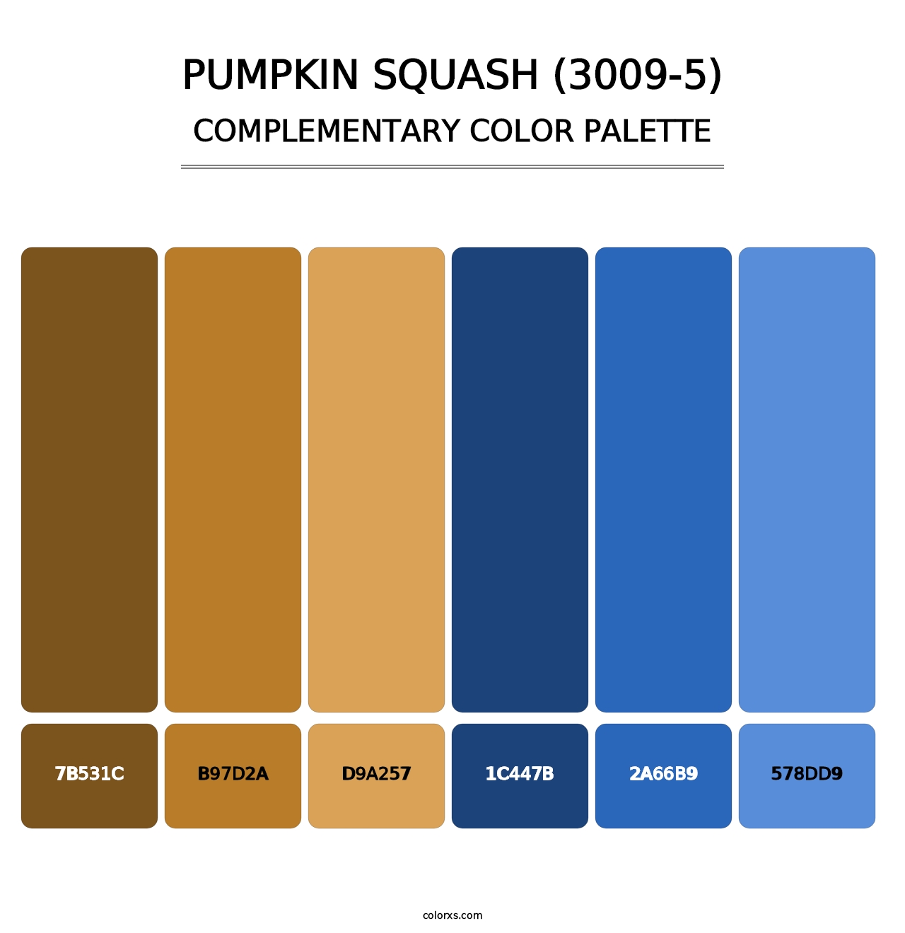 Pumpkin Squash (3009-5) - Complementary Color Palette
