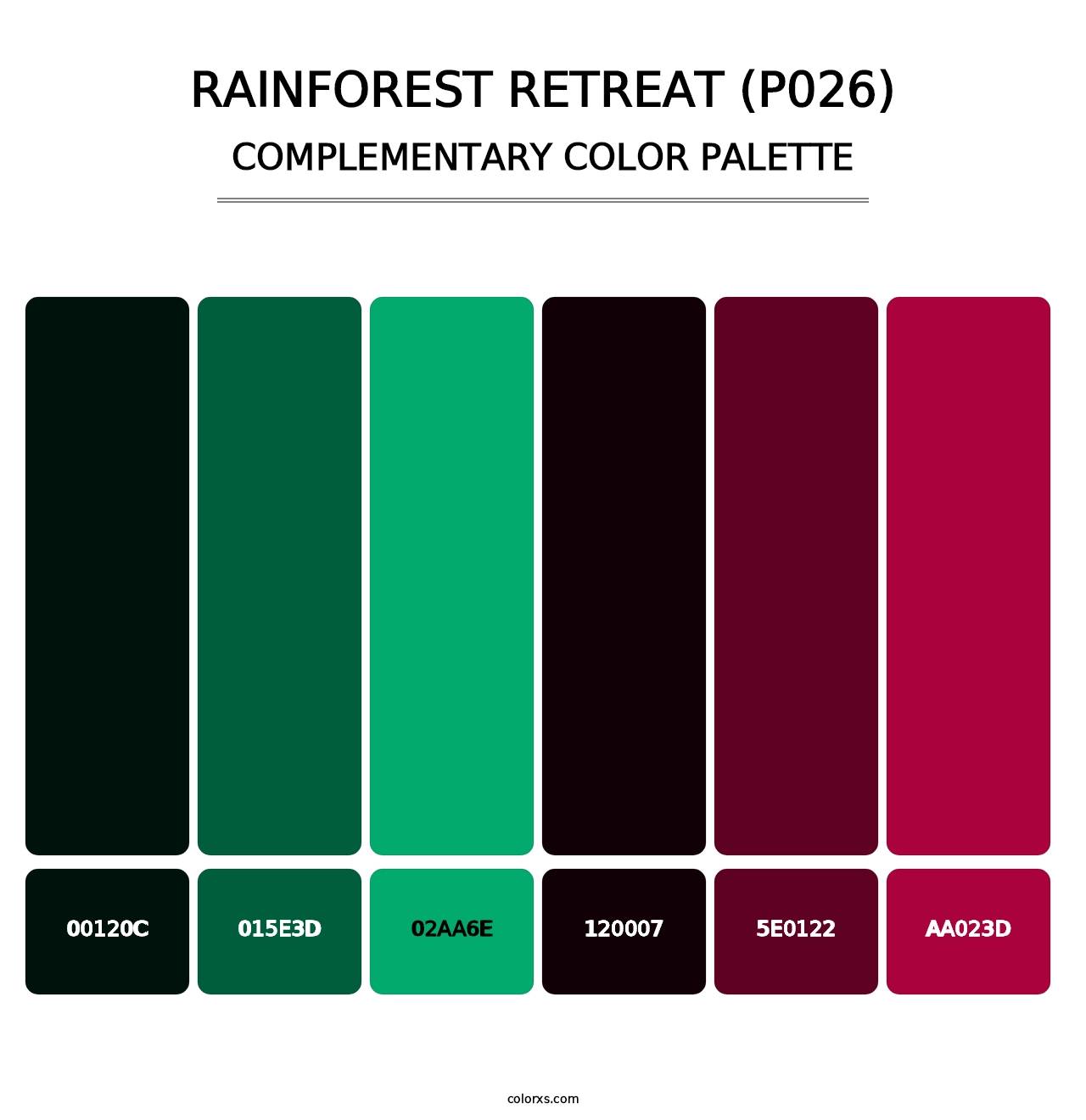 Rainforest Retreat (P026) - Complementary Color Palette