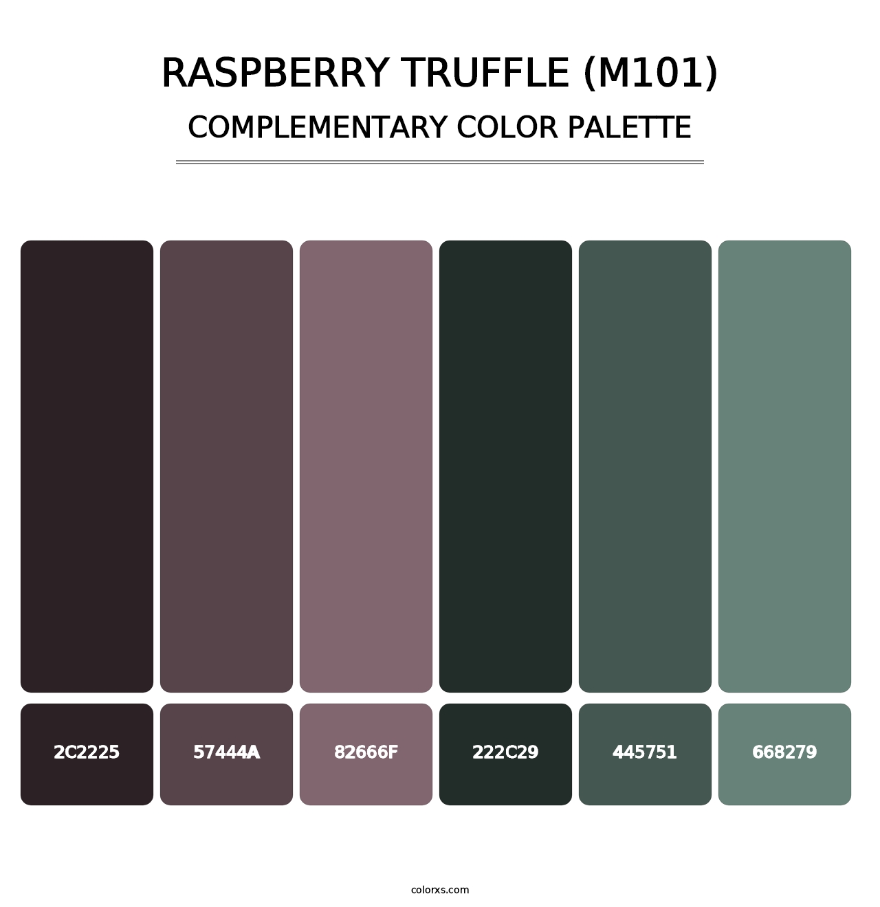 Raspberry Truffle (M101) - Complementary Color Palette