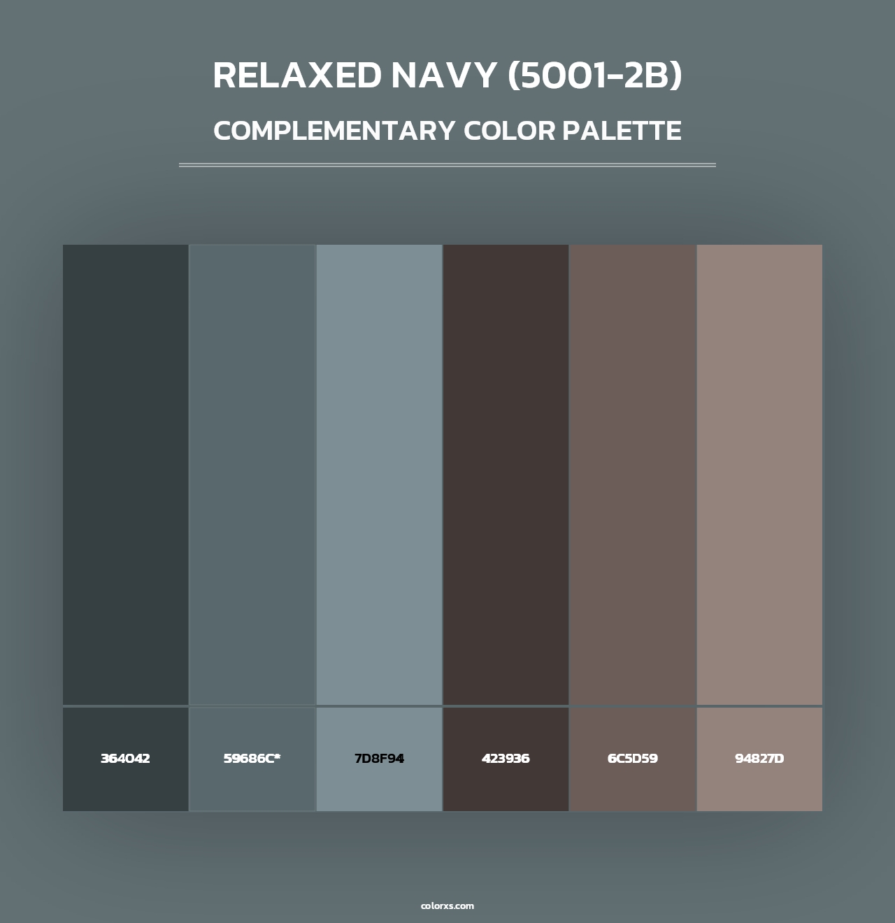 Relaxed Navy (5001-2B) - Complementary Color Palette