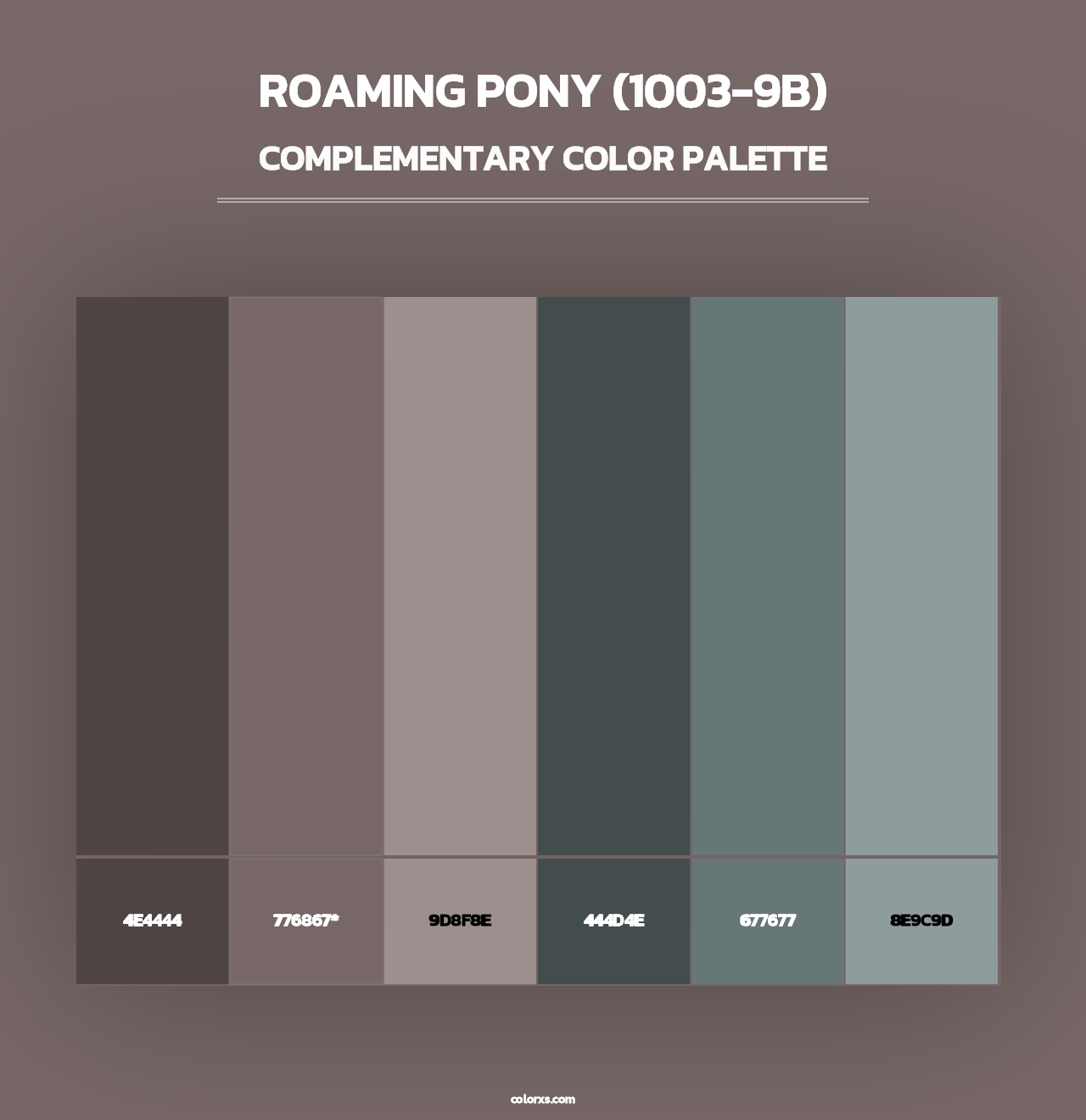 Roaming Pony (1003-9B) - Complementary Color Palette