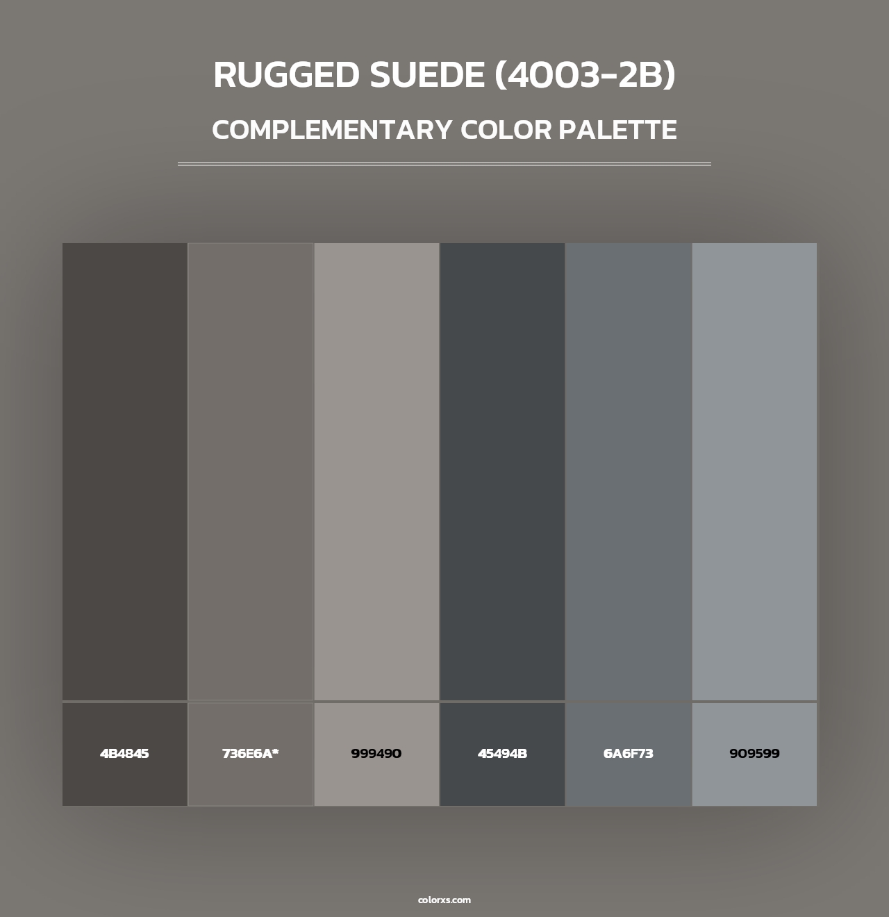 Rugged Suede (4003-2B) - Complementary Color Palette
