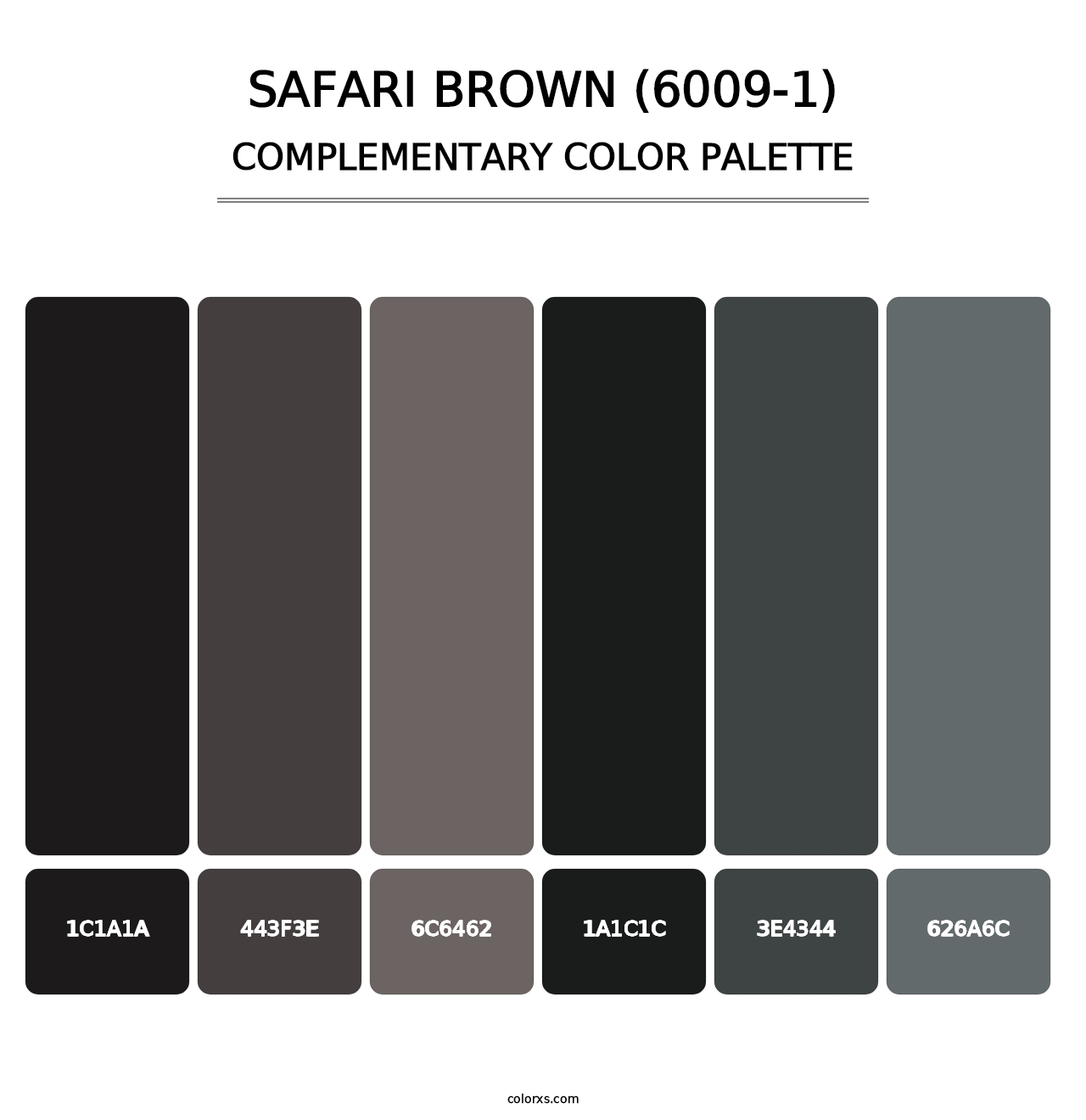Safari Brown (6009-1) - Complementary Color Palette