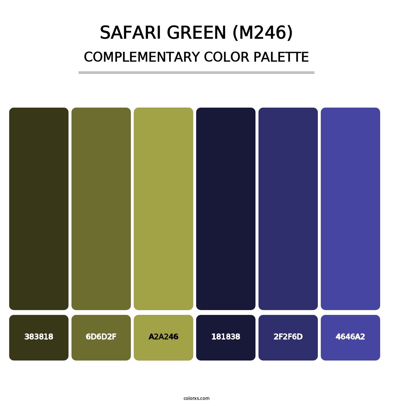 Safari Green (M246) - Complementary Color Palette