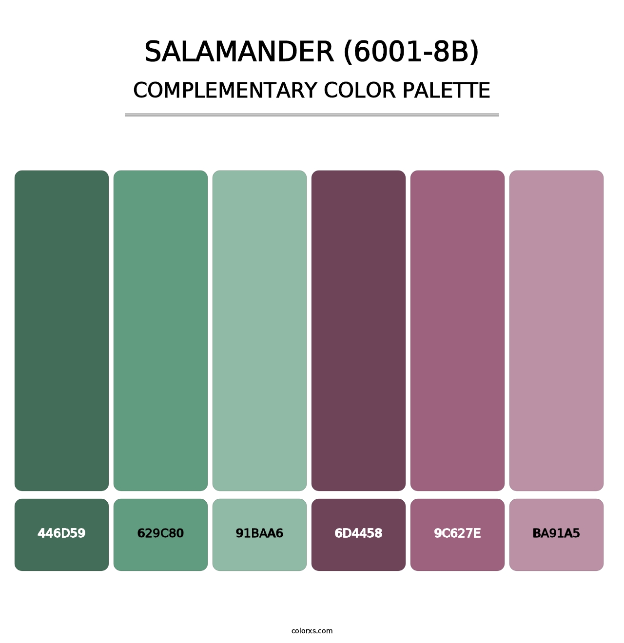 Salamander (6001-8B) - Complementary Color Palette