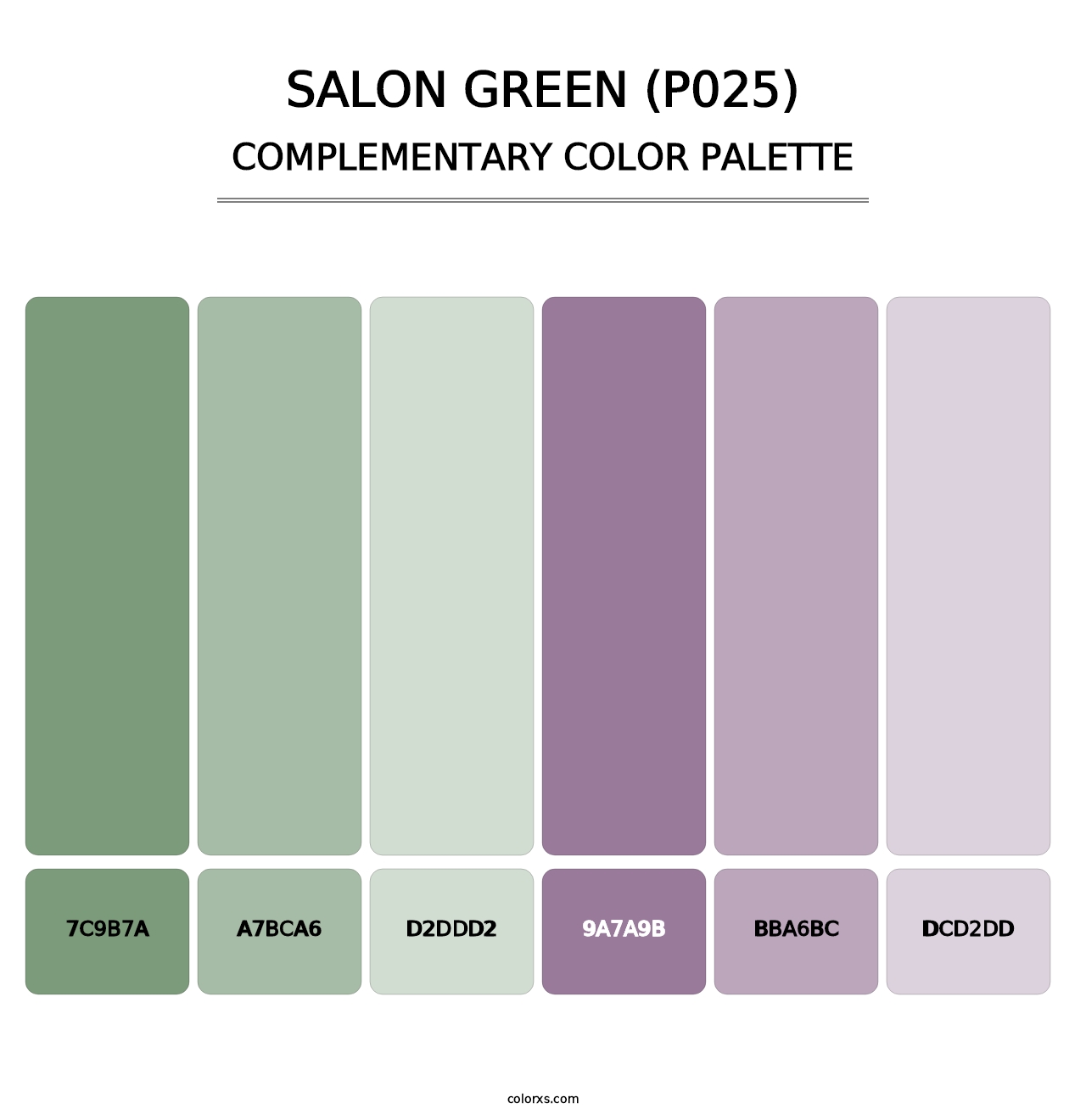 Salon Green (P025) - Complementary Color Palette
