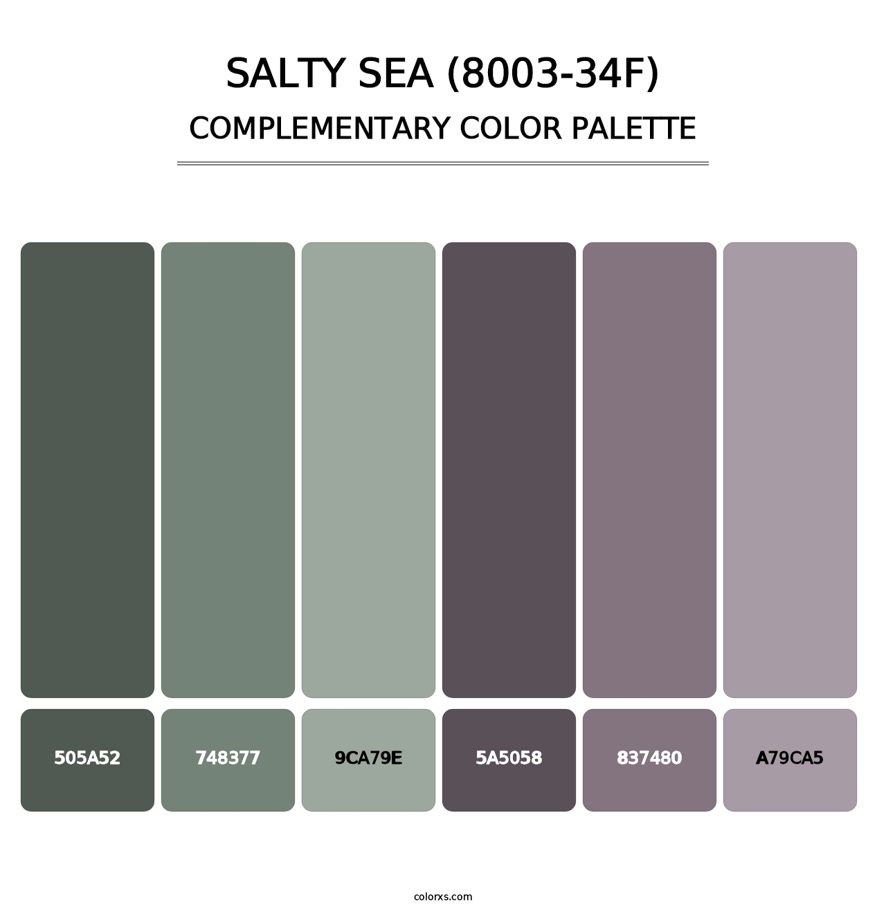 Salty Sea (8003-34F) - Complementary Color Palette