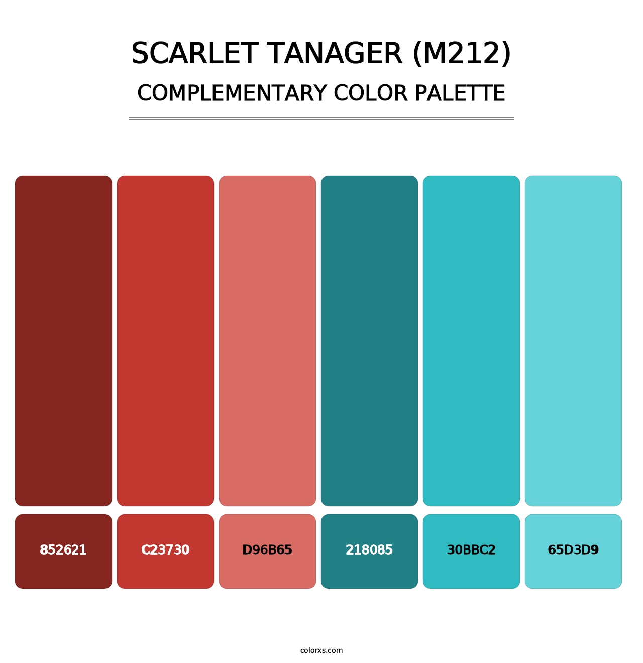 Scarlet Tanager (M212) - Complementary Color Palette