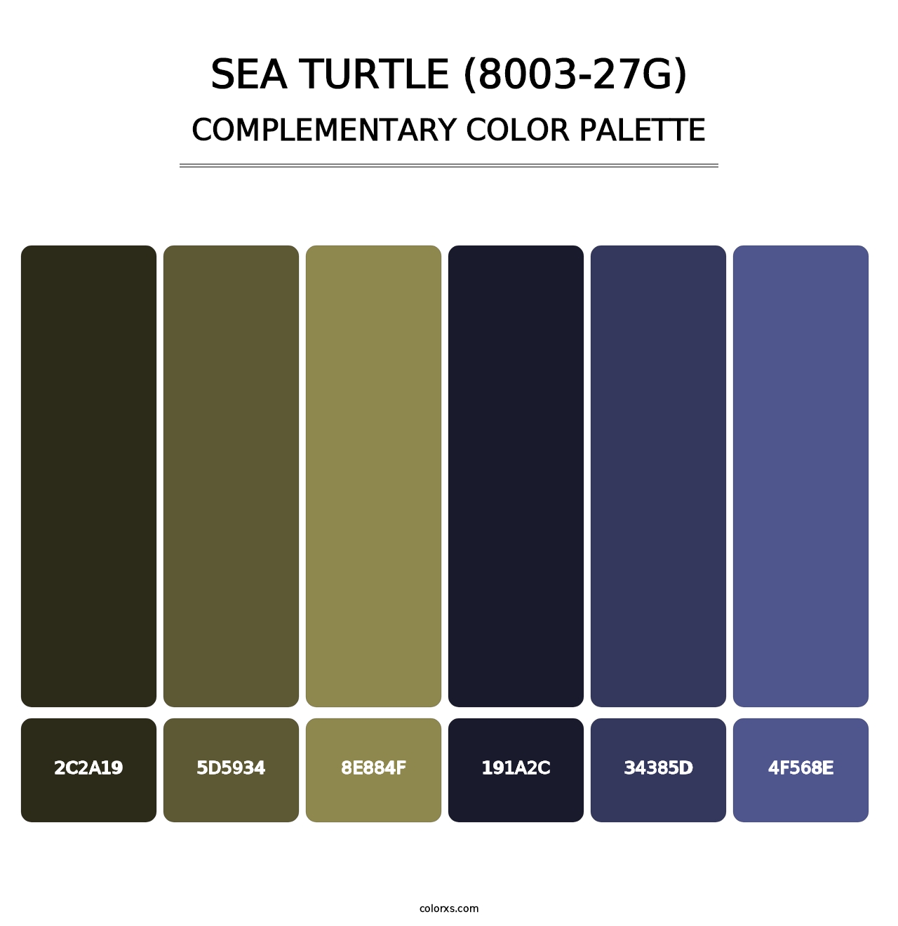 Sea Turtle (8003-27G) - Complementary Color Palette