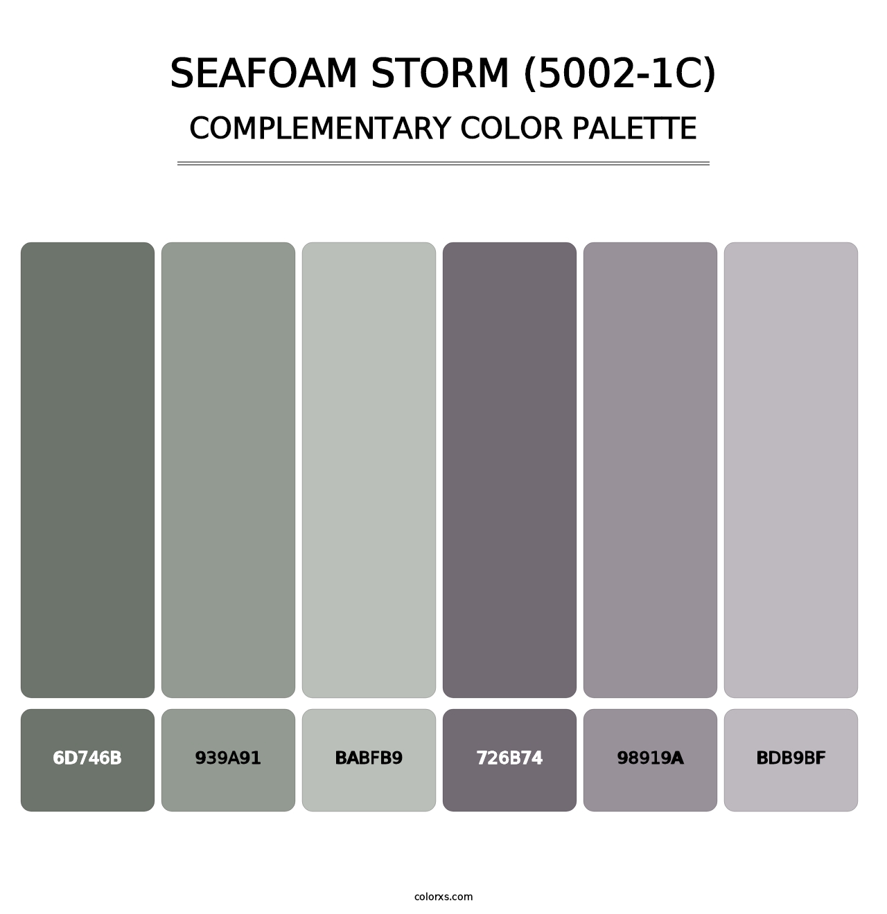 Seafoam Storm (5002-1C) - Complementary Color Palette
