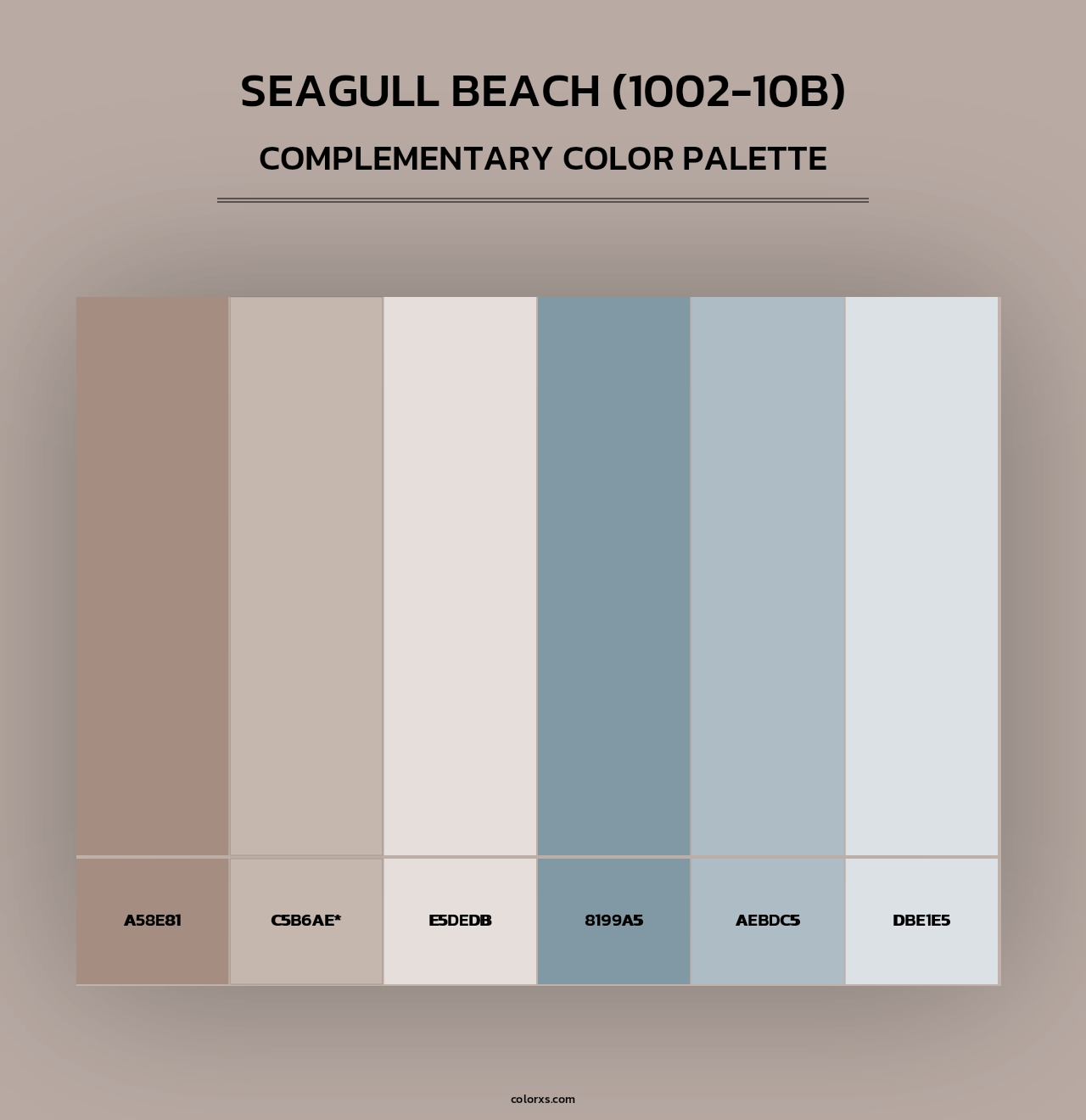 Seagull Beach (1002-10B) - Complementary Color Palette