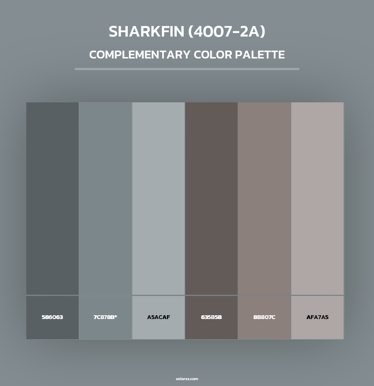 Sharkfin (4007-2A) - Complementary Color Palette